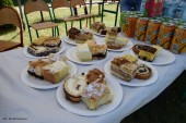 Ekologiczny piknik rodzinny_21_05_2023 (19)