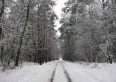 Zima_Mariusz Piątkowski1
