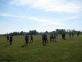 IV Turniej Piłkarski o Puchar Wójta Gminy Naruszewo_2012 (7)