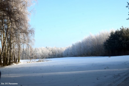 Zima_szron_16_02_2021 (19)