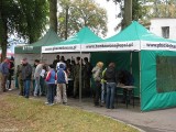 Start, meta, dekoracja i ... grochóweczka (3)