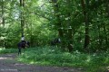 Zawody TREC_12_13 (43)