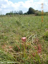 Przebudowa drogi w Łazękach_29.06 (9)