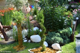 Ogródek_Krajewska_2021 (11)