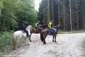 Zawody TREC PTTK_12.05 (2)