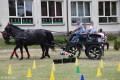 Dzień Dziecka w Krysku_04.06.2017r (140)