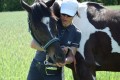 Zawody TREC_12_13 (72)