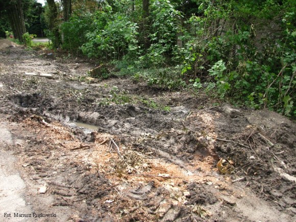 Budowa chodników_19