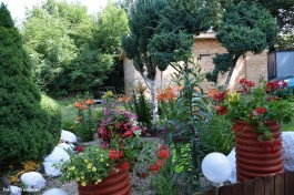 Ogródek_Krajewska_2021 (6)