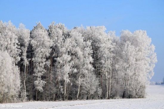 Zima_szron_16_02_2021 (27)