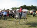 I Festiwal Sołectw_14.09.2014r. (122)