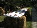 Dożynki Radzymin 30.08 (3)