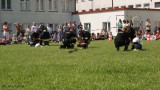 Pokaz strażacki  07.06.2010r. (38)