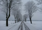 Zima_Mariusz Piątkowski2