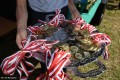 Gminne zawody sportowo_pożarnicze w Zaborowie_18.07 (10)