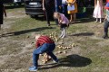 Festyn kartoflany_20.09 (154)