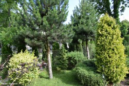Ogrody_Śmietanowska_2020 (9)