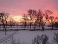 Urokliwe widoki - Skwary (10)