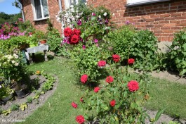 Ogrody_Kaniewska_2020 (4)