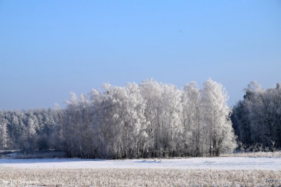 Zima_szron_16_02_2021 (7)