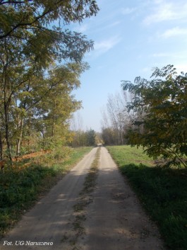 Krysk droga_18.10 (5)