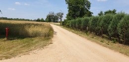 Drochówka_przed_2020 (7)