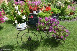 Ogrody_Kaniewska_2020 (7)