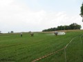 Zawody sportowo_pożarnicze_06.07.2014r. (89)