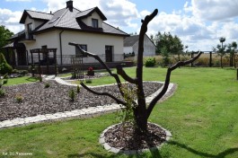 Ogrody_Michalak_2020 (6)
