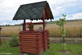 Ogrody_Ambroziak_2020 (16)