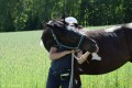 Zawody TREC_12_13 (73)
