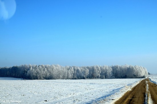 Zima_szron_16_02_2021 (21)