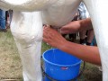 I Festiwal Sołectw_14.09.2014r. (293)