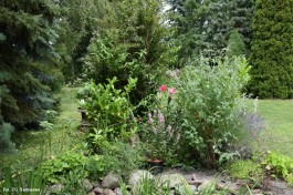 Ogrody_Sarzała_2020 (33)