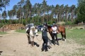 Zawody TREC_12_13 (31)