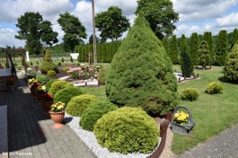 Ogrody_Michalak_2020 (16)
