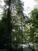 Obszary_i_obiekty_chronione_008