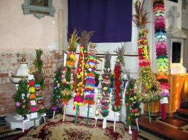 Ocena palm_2015