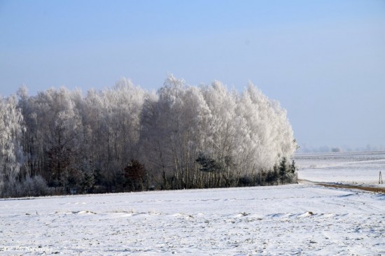 Zima_szron_16_02_2021 (30)
