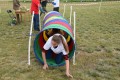 Mazowieckie Dni Rolnictwa 2016 (81)