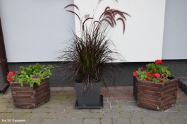 Ogrody_Wiśniewska_2020 (12)