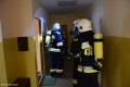 Ewakuacja Maluch_1_21.03 (95)