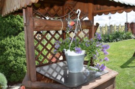 Ogrody_Krysiewicz_2020 (5)