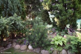 Ogródek_Jabłoński_2021 (12)