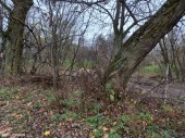 Wodociąg_Krysk_07_11_2021 (8)