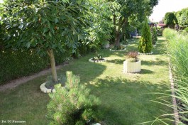 Ogródek_Kuźniewski_2021 (22)