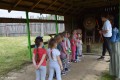 Dzień Dziecka w Centrum Afrykańskim_przedszkole_31.05.2017r (81)