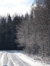 Wyróżnienie - Michał Sadowski