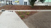 Skwerek_odbiór_14.09 (9)