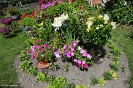 Ogrody_Kaniewska_2020 (5)